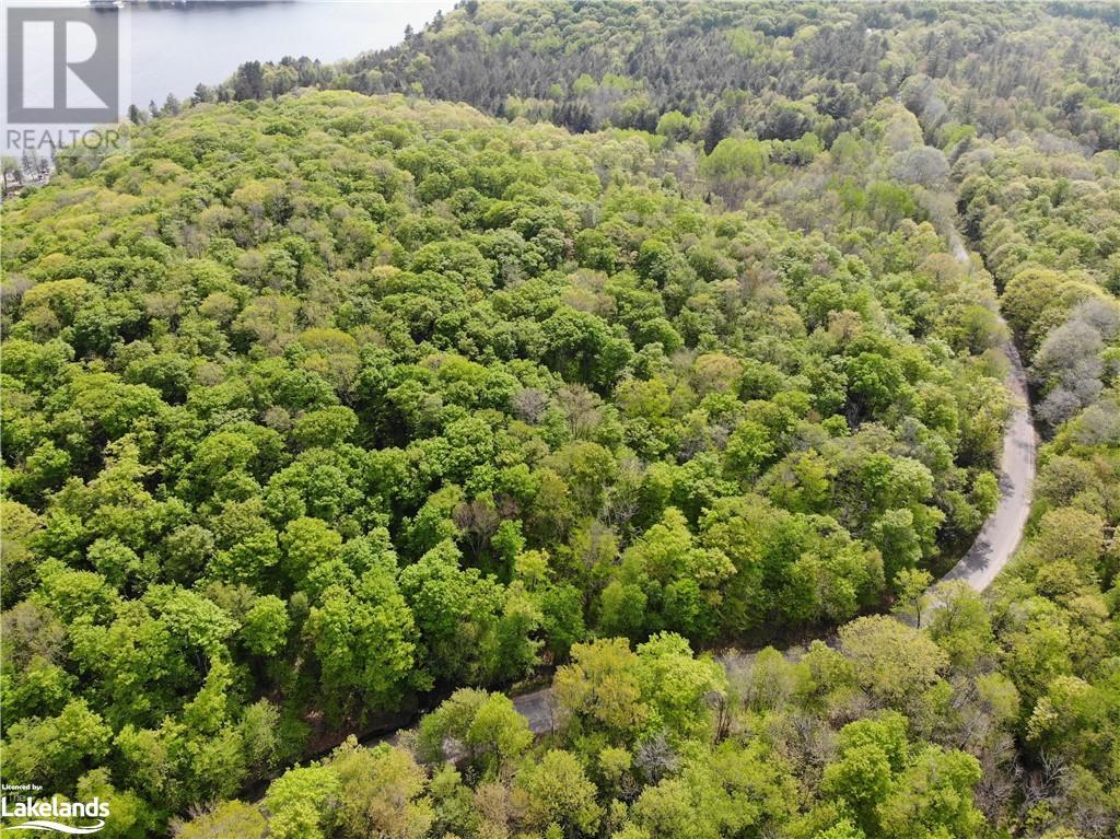 5 Northshore Road, Utterson, Ontario  P0B 1M0 - Photo 3 - 40591523