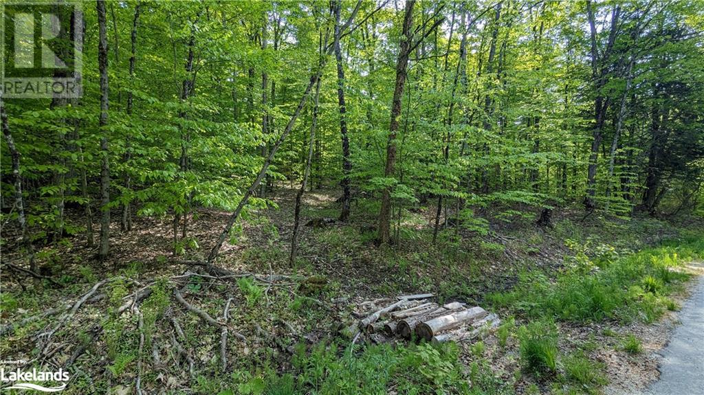 5 Northshore Road, Utterson, Ontario  P0B 1M0 - Photo 8 - 40591523