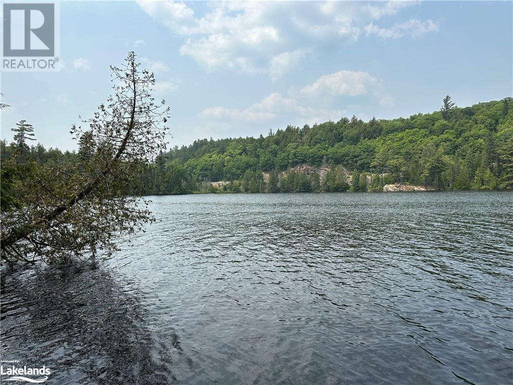 269 Smoke Lake Apl1174e, Algonquin, Ontario  P0A 1H0 - Photo 13 - 40591482