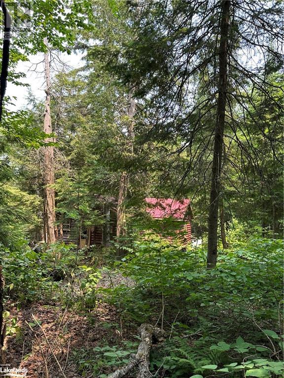 269 Smoke Lake Apl1174e, Algonquin, Ontario  P0A 1H0 - Photo 23 - 40591482