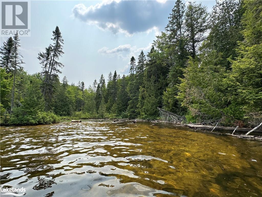 269 Smoke Lake Apl1174e, Algonquin, Ontario  P0A 1H0 - Photo 46 - 40591482