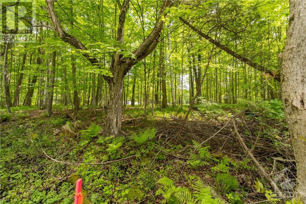 Part Lot 4 Concession 1 Road, Lyndhurst, Ontario  K0E 1N0 - Photo 10 - 1392767