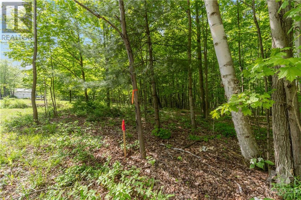 Part Lot 4 Concession 1 Road, Lyndhurst, Ontario  K0E 1N0 - Photo 11 - 1392767