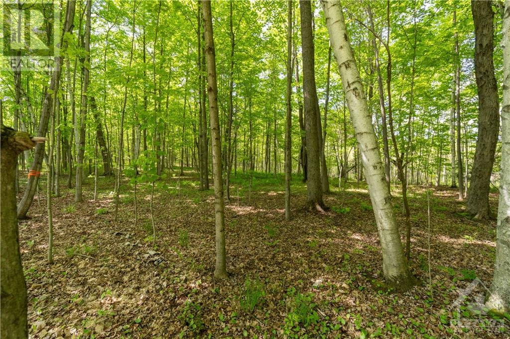 Part Lot 4 Concession 1 Road, Lyndhurst, Ontario  K0E 1N0 - Photo 12 - 1392767