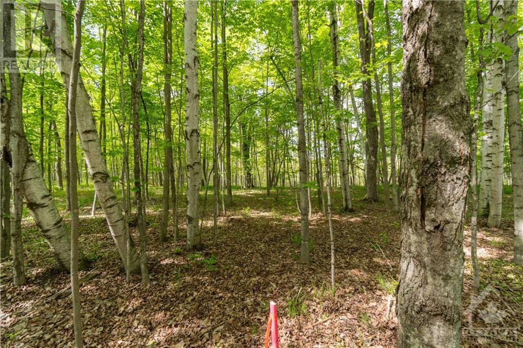 Part Lot 4 Concession 1 Road, Lyndhurst, Ontario  K0E 1N0 - Photo 13 - 1392767