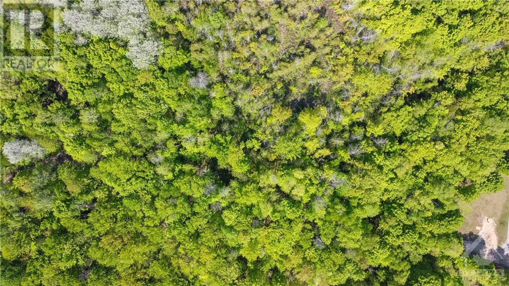 Part Lot 4 Concession 1 Road, Lyndhurst, Ontario  K0E 1N0 - Photo 19 - 1392767