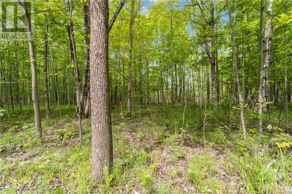Part Lot 4 Concession 1 Road, Lyndhurst, Ontario  K0E 1N0 - Photo 7 - 1392767