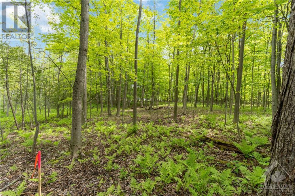 Part Lot 4 Concession 1 Road, Lyndhurst, Ontario  K0E 1N0 - Photo 9 - 1392767
