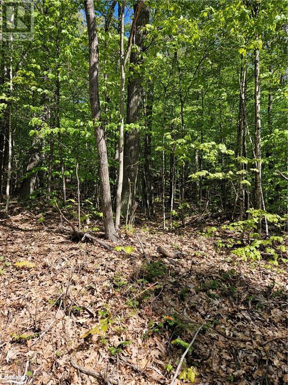 4266 South Portage Road, Huntsville, Ontario  P1H 2J3 - Photo 7 - 40591544