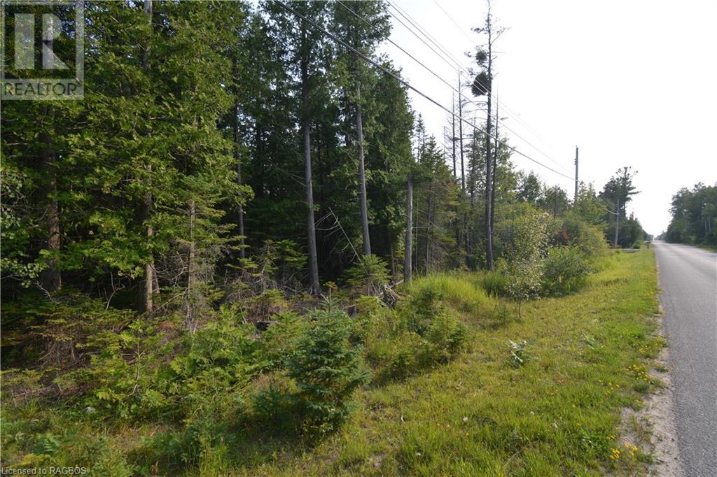 Part Lot 5 Whiskey Harbour Road, North Bruce Peninsula, Ontario  N0H 1W0 - Photo 1 - 40590922