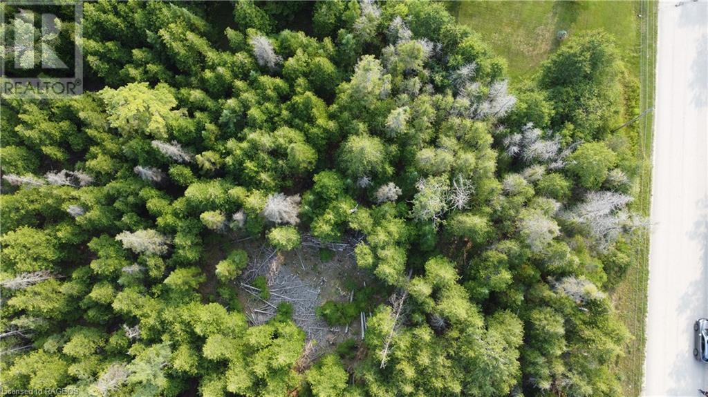 Part Lot 5 Whiskey Harbour Road, North Bruce Peninsula, Ontario  N0H 1W0 - Photo 10 - 40590922