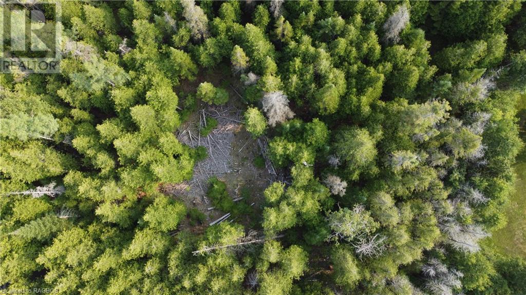 Part Lot 5 Whiskey Harbour Road, North Bruce Peninsula, Ontario  N0H 1W0 - Photo 11 - 40590922