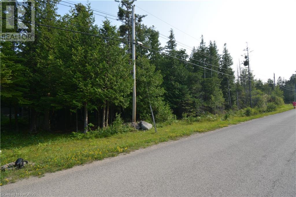 Part Lot 5 Whiskey Harbour Road, North Bruce Peninsula, Ontario  N0H 1W0 - Photo 14 - 40590922