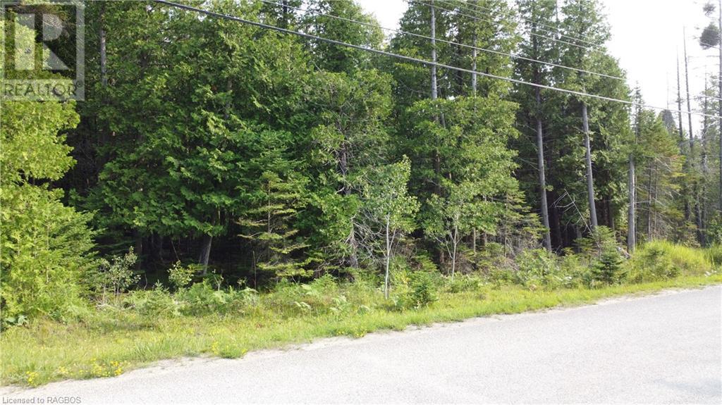 Part Lot 5 Whiskey Harbour Road, North Bruce Peninsula, Ontario  N0H 1W0 - Photo 2 - 40590922