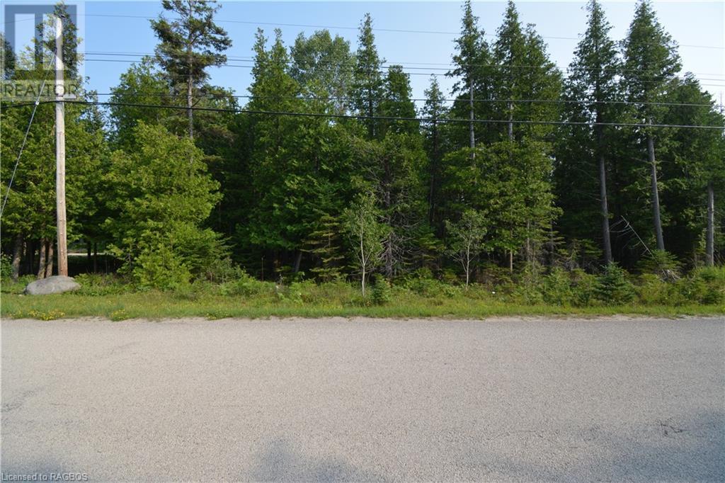 Part Lot 5 Whiskey Harbour Road, North Bruce Peninsula, Ontario  N0H 1W0 - Photo 3 - 40590922