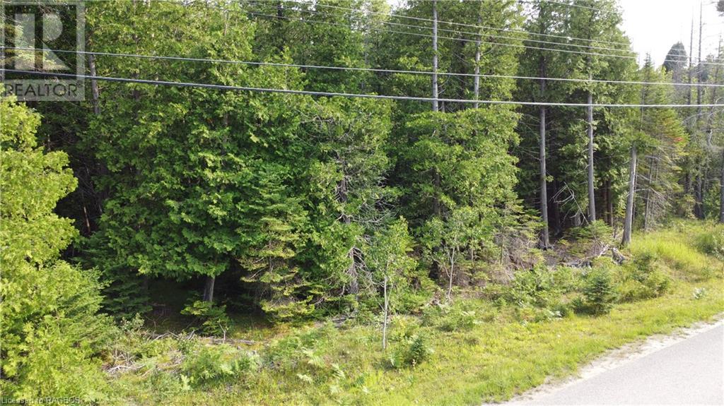 Part Lot 5 Whiskey Harbour Road, North Bruce Peninsula, Ontario  N0H 1W0 - Photo 4 - 40590922