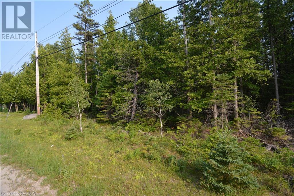 Part Lot 5 Whiskey Harbour Road, North Bruce Peninsula, Ontario  N0H 1W0 - Photo 5 - 40590922
