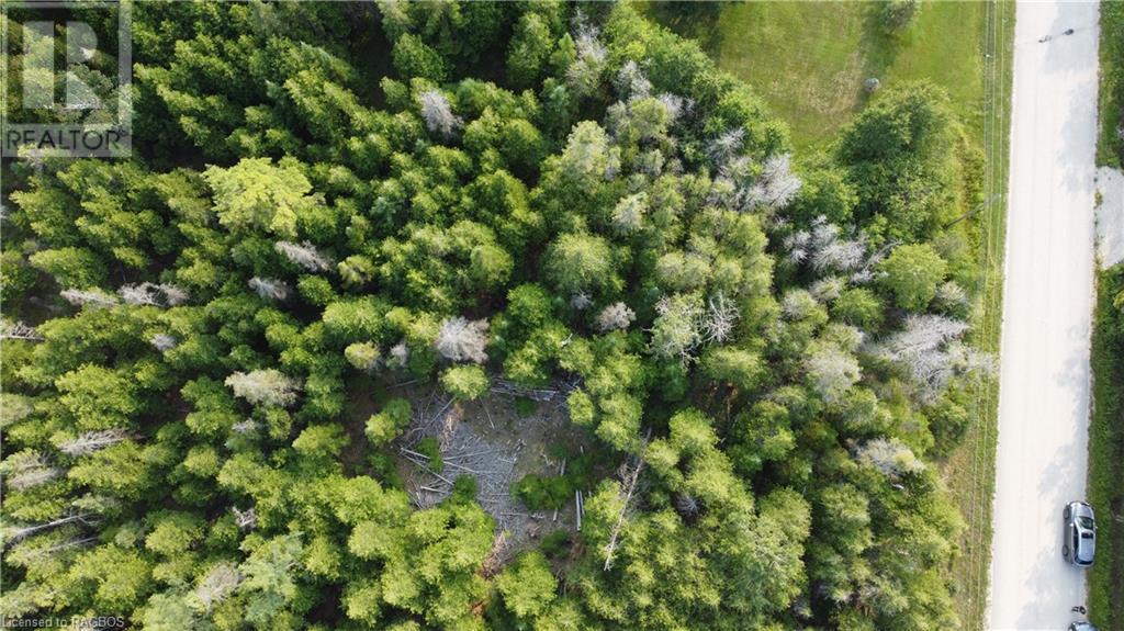 Part Lot 5 Whiskey Harbour Road, North Bruce Peninsula, Ontario  N0H 1W0 - Photo 9 - 40590922