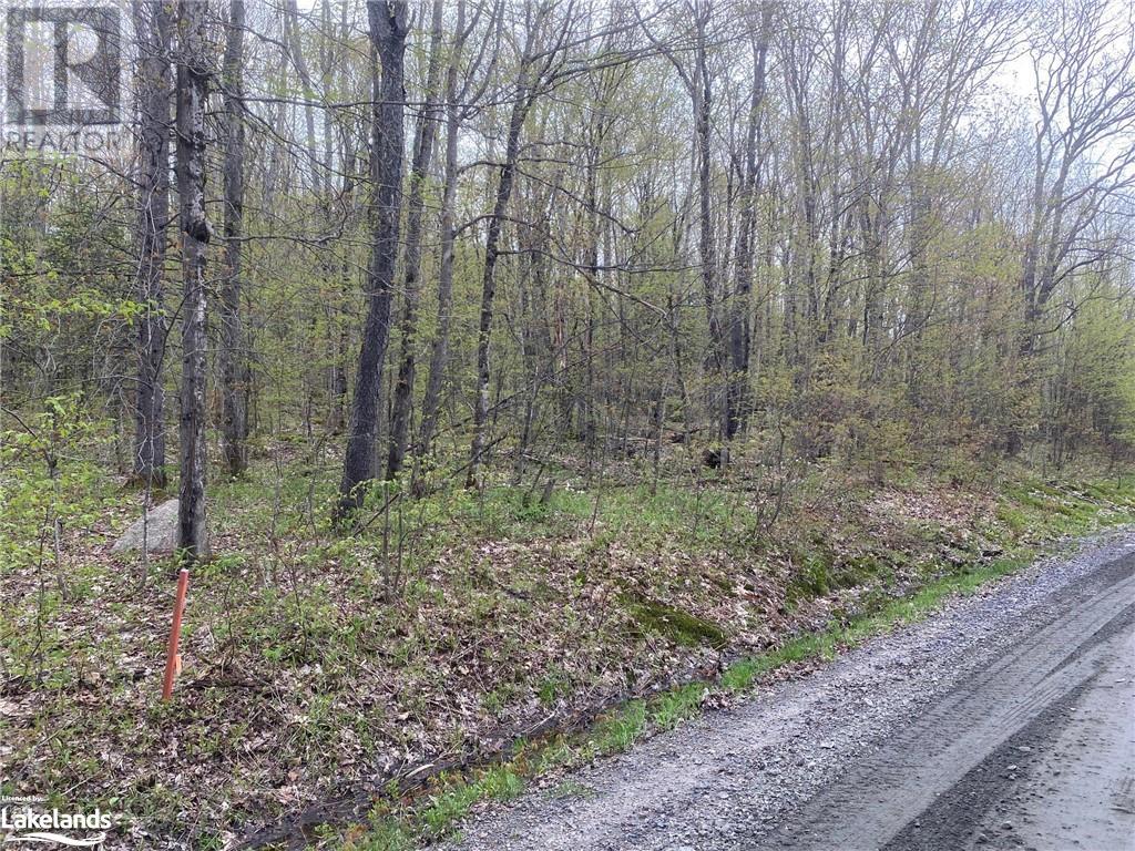 0 Hekkla Road, Rosseau, Ontario  P0C 1J0 - Photo 3 - 40591682
