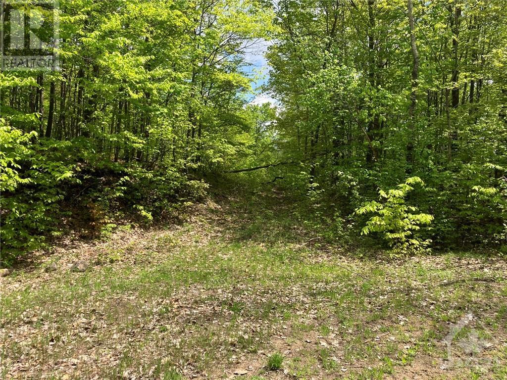 Lot 30 RED PINE ROAD, maberly, Ontario