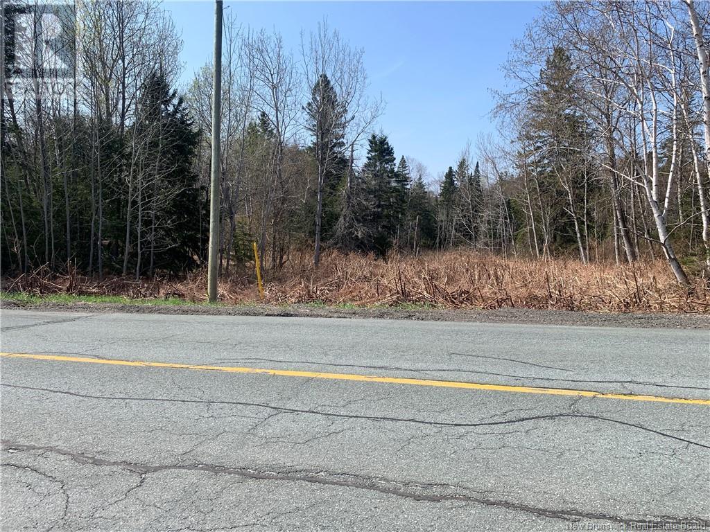 Lot Vacant Route 134, New Mills, New Brunswick  E8G 1E4 - Photo 3 - NB100554