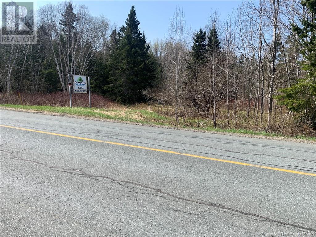 Lot Vacant Route 134, New Mills, New Brunswick  E8G 1E4 - Photo 4 - NB100554