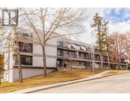 108, 355 5 Avenue NE, calgary, Alberta