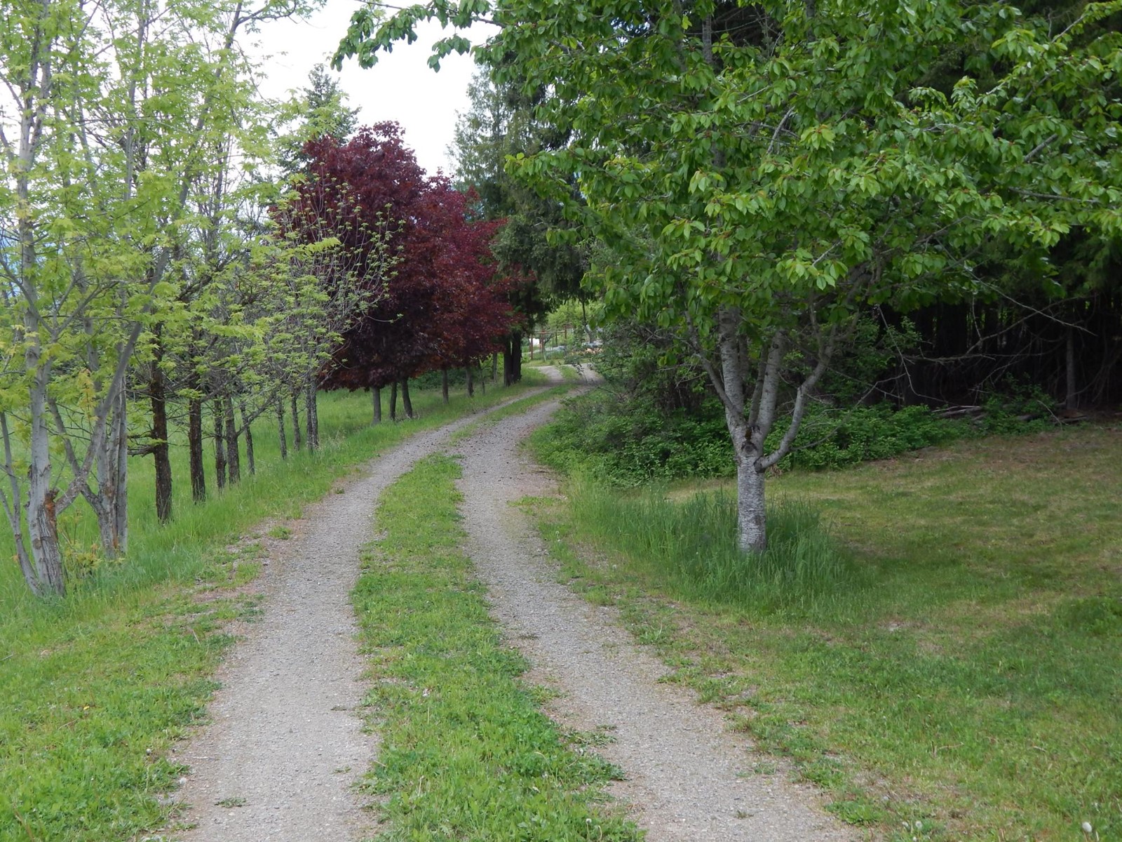 3635 Phillips Rd, Creston, British Columbia  V0B 1G2 - Photo 38 - 2477090