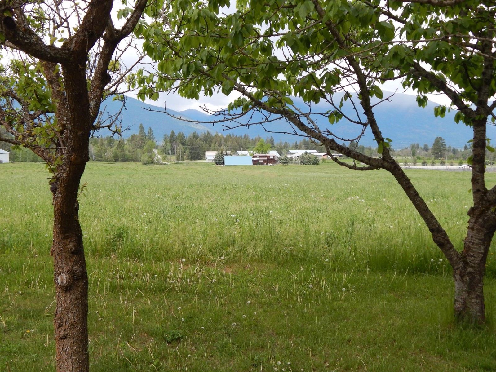 3635 Phillips Rd, Creston, British Columbia  V0B 1G2 - Photo 46 - 2477090