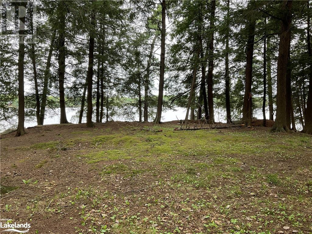 55c Mccauley Drive, Arnstein, Ontario  P0H 1A0 - Photo 11 - 40591165