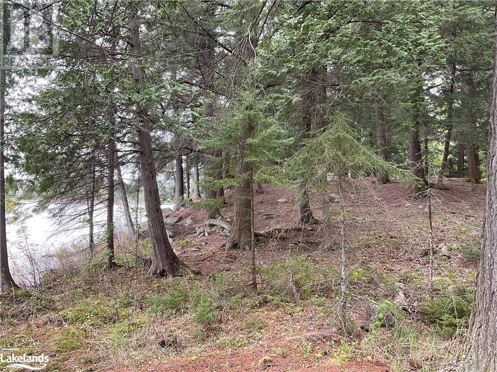 55c Mccauley Drive, Arnstein, Ontario  P0H 1A0 - Photo 13 - 40591165