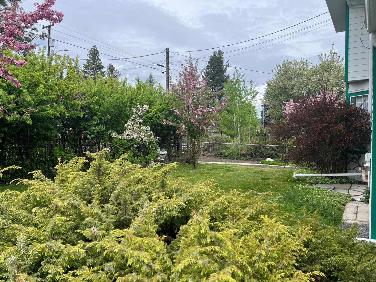 232 14th Avenue S, Cranbrook, British Columbia  V1C 2X2 - Photo 7 - 2477078