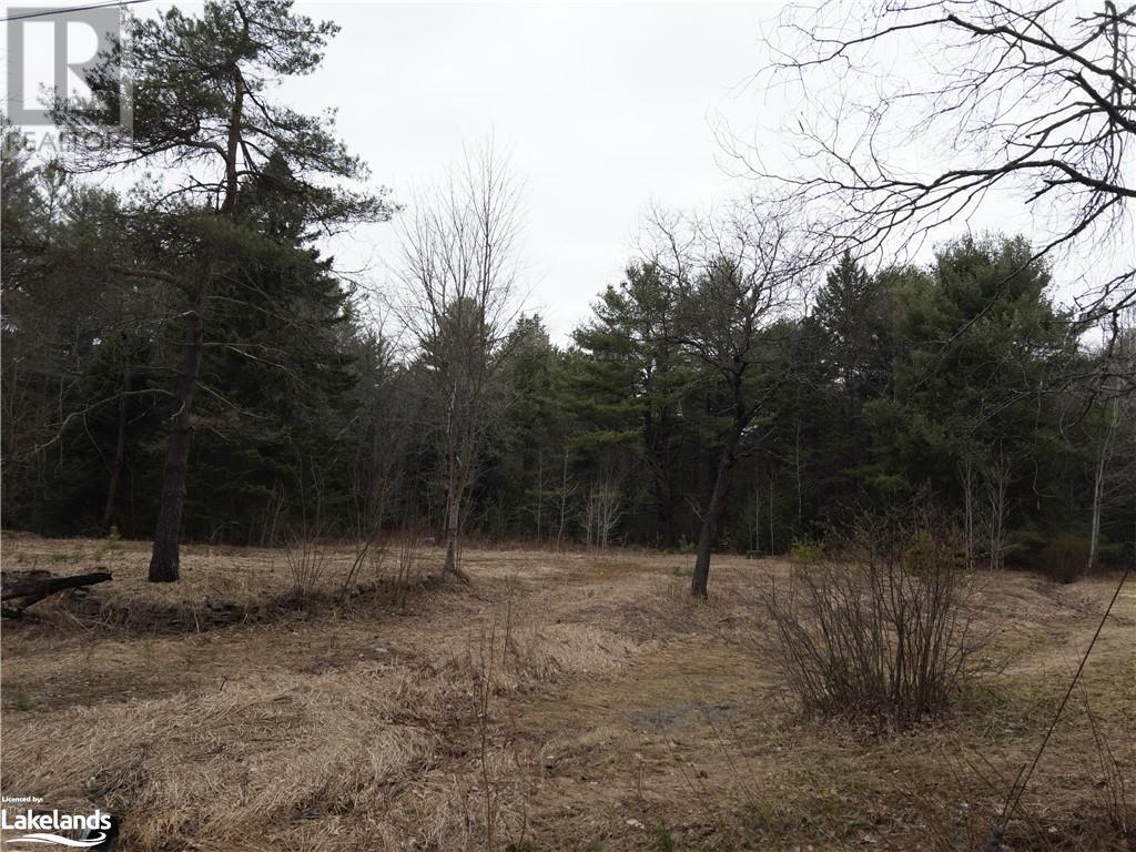 1061 Naismith Road, Bracebridge, Ontario  P1L 1X4 - Photo 2 - 40572147