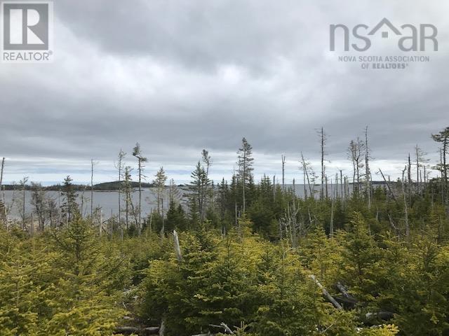 Lot 13 59 Quoddy Drive, West Quoddy, Nova Scotia  B0H 1W0 - Photo 5 - 202410952