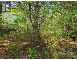 2876-1 COUNTY 16 ROAD