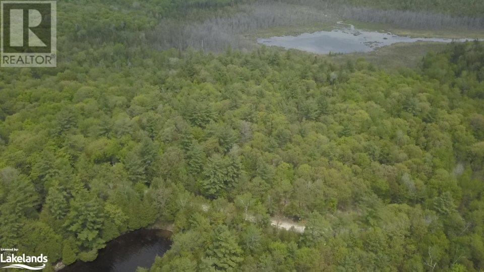 Beside 225 Crego Lake Road, Kinmount, Ontario  K0M 2A0 - Photo 10 - 40586968