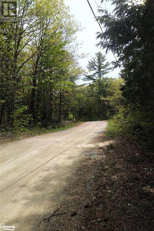 Beside 225 Crego Lake Road, Kinmount, Ontario  K0M 2A0 - Photo 9 - 40586968