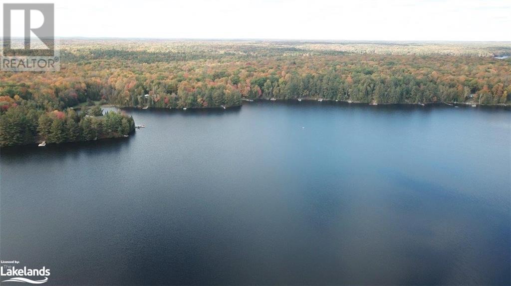 Beside 225 Crego Lake Road, Kinmount, Ontario  K0M 2A0 - Photo 2 - 40586968
