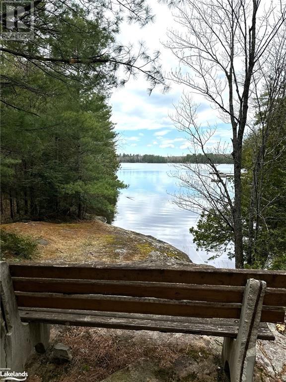 Beside 225 Crego Lake Road, Kinmount, Ontario  K0M 2A0 - Photo 8 - 40586968