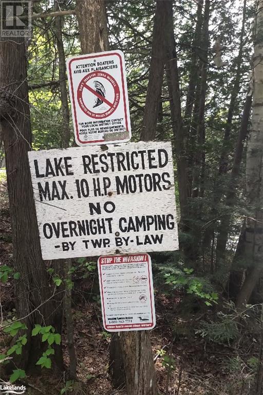 Beside 225 Crego Lake Road, Kinmount, Ontario  K0M 2A0 - Photo 12 - 40586968