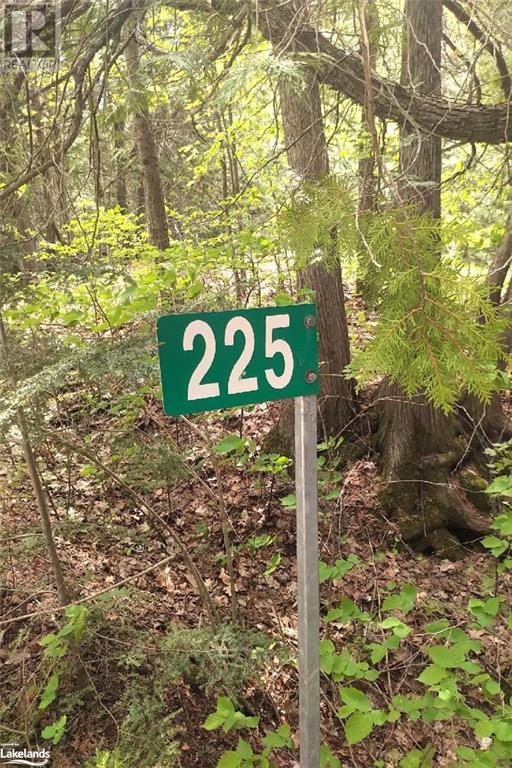 Beside 225 Crego Lake Road, Kinmount, Ontario  K0M 2A0 - Photo 11 - 40586968