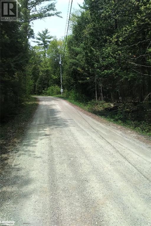 Beside 225 Crego Lake Road, Kinmount, Ontario  K0M 2A0 - Photo 15 - 40586968
