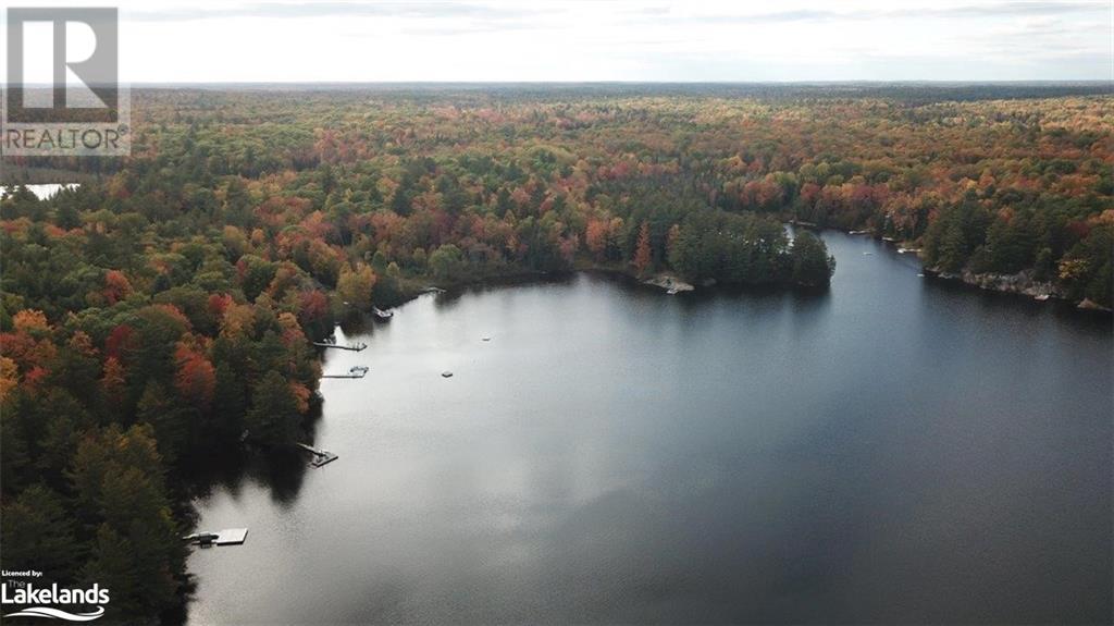Beside 225 Crego Lake Road, Kinmount, Ontario  K0M 2A0 - Photo 24 - 40586968