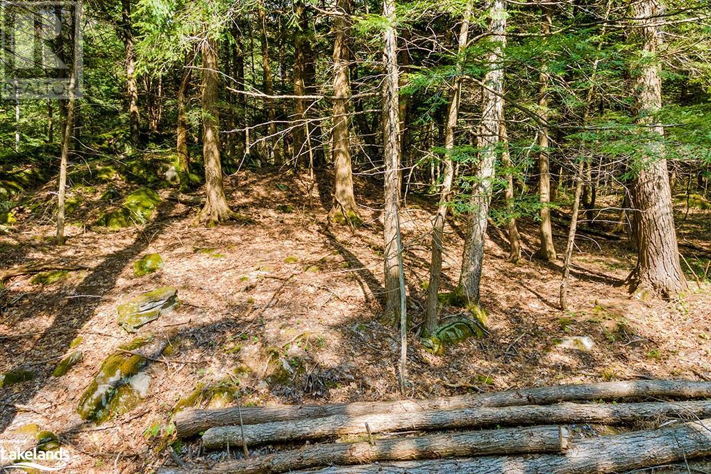 2 Salway Lane, Mckellar, Ontario  P0G 1C0 - Photo 9 - 40591587