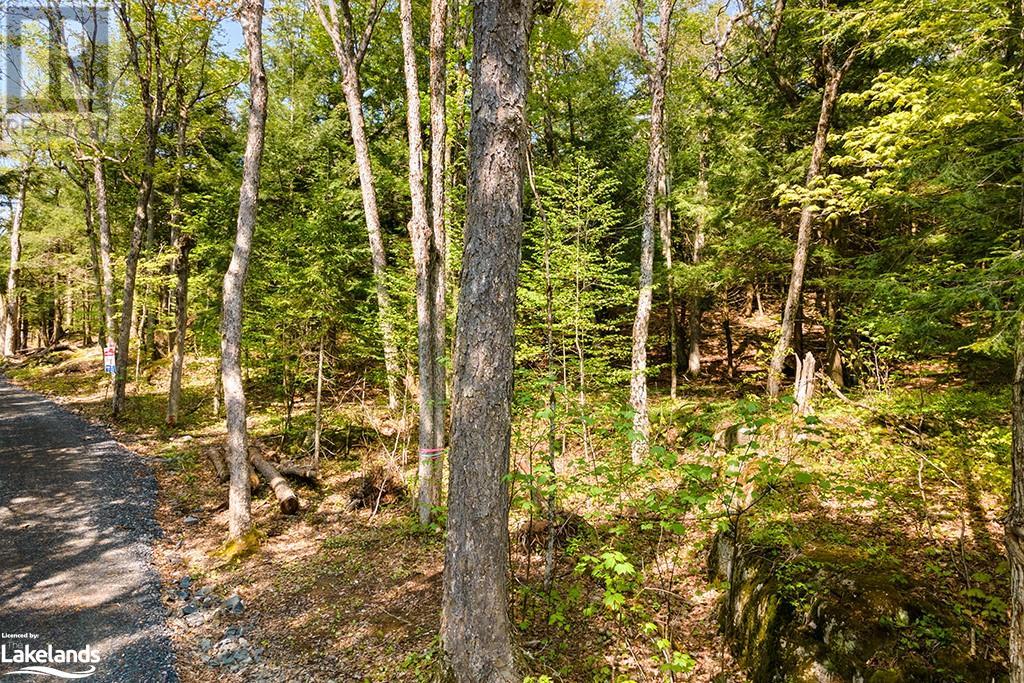 2 Salway Lane, Mckellar, Ontario  P0G 1C0 - Photo 10 - 40591587