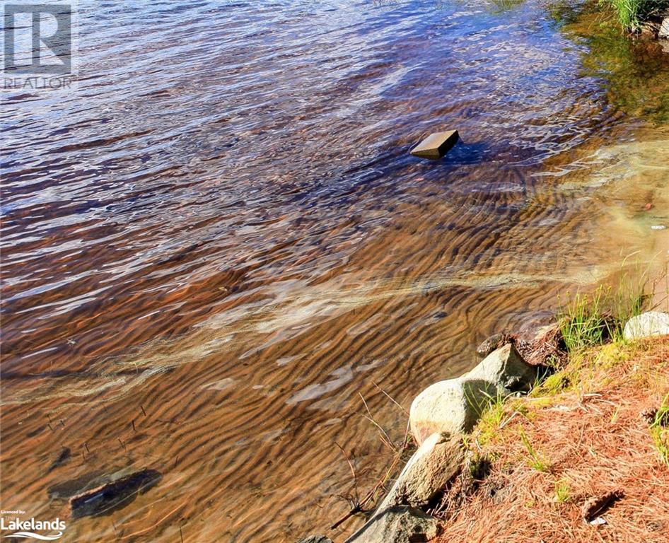 1095 Peter Road, Bracebridge, Ontario  P1L 1X3 - Photo 8 - 40591708