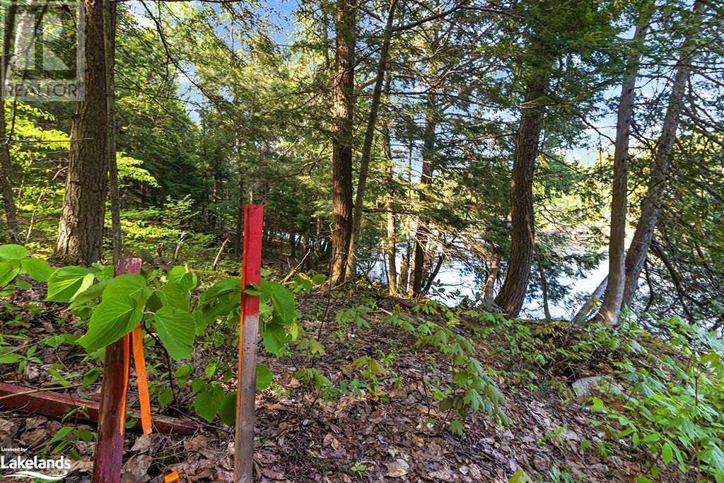 1 Salway Lane, Mckellar, Ontario  P0G 1C0 - Photo 10 - 40591586