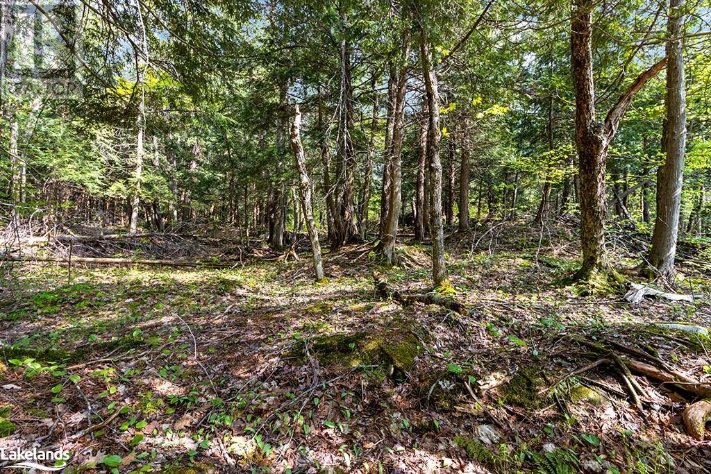 1 Salway Lane, Mckellar, Ontario  P0G 1C0 - Photo 12 - 40591586