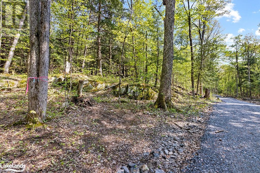 1 Salway Lane, Mckellar, Ontario  P0G 1C0 - Photo 19 - 40591586