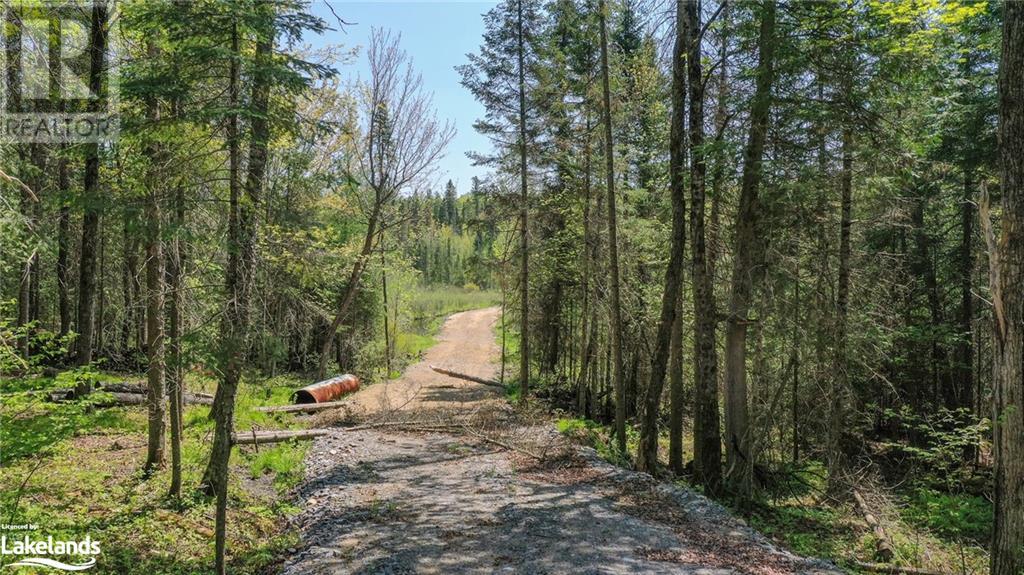 975 Boundary Road, Huntsville, Ontario  P0A 1R0 - Photo 3 - 40592128